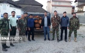درگیری شبانه جنگلبانان با قاچاقچیان چوب در آستارا / دستگیری دو قاچاقچی چوب